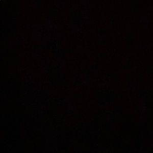 Meet your Posher, Dreya